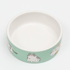 Миска керамическая «Котяры» 300 мл - 12.5×12.5×4.5 см, зелёная/белая - Фото 3