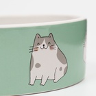 Миска керамическая «Котяры» 300 мл - 12.5×12.5×4.5 см, зелёная/белая - Фото 6