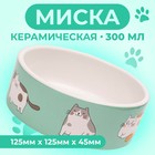 Миска керамическая "Котяры" 300 мл  12,5 x 4,5 cм, бело-зелёная - фото 300503933