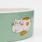 Миска керамическая «Котяры» 300 мл - 12.5×12.5×4.5 см, зелёная/белая - Фото 5