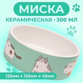 Миска керамическая "Котяры" 300 мл  12,5 x 4,5 cм, бело-зелёная 9214849