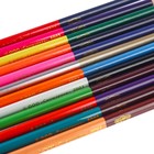 Карандаши цветные 24 цвета, двусторонние, Смешарики - Фото 5
