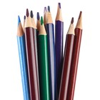 Карандаши цветные 24 цвета, двусторонние, Смешарики - Фото 8