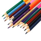 Цветные карандаши, 24 цвета, двусторонние, Маша и Медведь - Фото 6