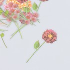 Набор наклеек "Цветы. Туманный розовый" 30 шт 8,5х11 см - Фото 2