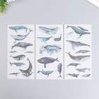 Наклейки "Парящие киты" набор 3 листа 10х20 см - Фото 1