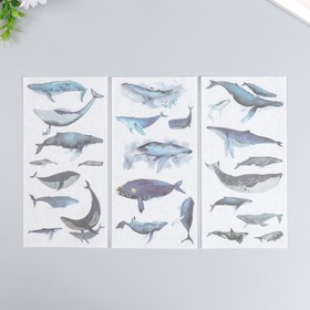 Наклейки "Парящие киты" набор 3 листа 10х20 см