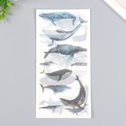 Наклейки "Парящие киты" набор 3 листа 10х20 см - Фото 3
