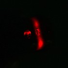 Лазер Косточка c фонариком, цвета МИКС - Фото 8