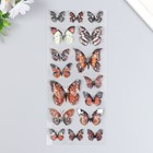Наклейка пластик 3D "Бабочки" МИКС 15х27 см - Фото 4