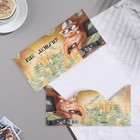 Конверт для денег «Где деньги?» 8×16.3 см 9592860