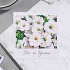 Открытка мини "Уход за букетом" белые цветы, 7,5 х 7,5 см - фото 320027704