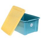 Детский ящик, 17 литров , цвет синий колокольчик - фото 22150749