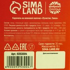 Леденец на светящейся палочке «В новый этап», 10 г. - фото 24985581