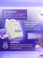 Средство для сантехники Synergetic «Лаванда и шалфей», 5 л 9567616 - фото 738591