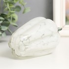 Сувенир "Перец" h 110 мм. (в стеклокрошку) Бел. (З.Л.) - фото 22152617