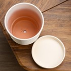 Горшок цветочный "Нест" платан белый №4 3,2 л - фото 24412973