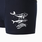 Трусы мужские боксеры «Морской мир», цвет тёмно-синий, размер 56 - фото 25351290