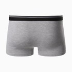 Трусы мужские боксеры «Лев», цвет серый меланж, размер 48 9599199