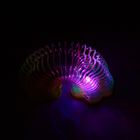 Пружинка-радуга "Цветочки-смайлы", с подсветкой, цвета МИКС - Фото 3