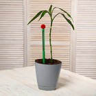 Термометр для измерения температуры почвы и воды, Greengo - Фото 11