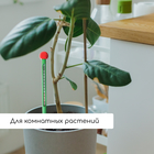 Термометр для измерения температуры почвы и воды, Greengo - Фото 4