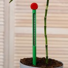 Термометр для измерения температуры почвы и воды, Greengo - Фото 10
