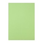 Полотенце Доляна, цвет салатовый, 40х62 см, 100% хлопок, вафля 170 г/м2 - Фото 2