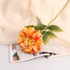 Цветы искусственные "Георгин Пигми" 11х60 см, оранжевый - фото 10930138