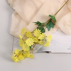 Цветы искусственные "Хризантема" премиум, 3,5х62 см, жёлтый - фото 319402620