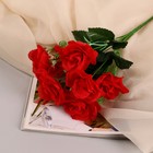 Букет "Роза Свит" 6,5х26 см, микс - Фото 1