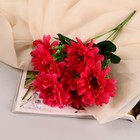 Букет "Хризантема индийская" d- 8 см 32 см, 6 цветков, микс - фото 319820855