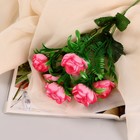 Букет "Роза Клер Остин" 6 цветков, d-4 см h30 см, микс - фото 320153970