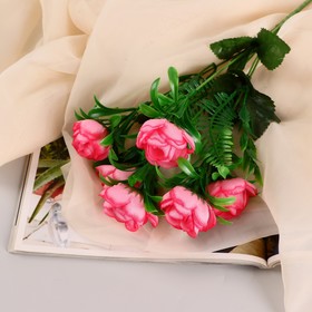 Букет "Роза Клер Остин" 6 цветков, d-4 см h30 см, микс