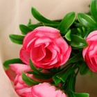 Букет «Роза Клер Остин», 6 цветков, d=4 см, h=30 см, МИКС 9229335