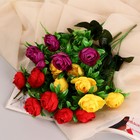 Букет «Роза Клер Остин», 6 цветков, d=4 см, h=30 см, МИКС 9229335