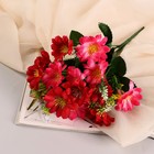 Букет "Астра бельгийская" 14 цветков, d-5 см h-30  см, микс - фото 287667464