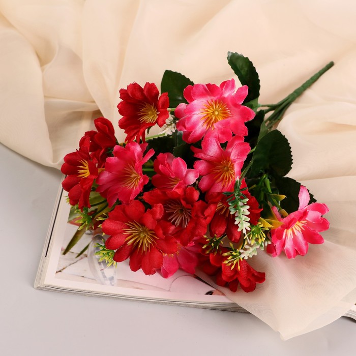 Букет "Астра бельгийская" 14 цветков, d-5 см h-30  см, микс - Фото 1