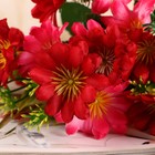 Букет "Астра бельгийская" 14 цветков, d-5 см h-30  см, микс - Фото 2