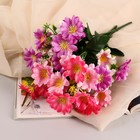 Букет "Астра бельгийская" 14 цветков, d-5 см h-30  см, микс - Фото 4