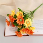 Букет "Астра бельгийская" 14 цветков, d-5 см h-30  см, микс - Фото 5