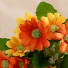 Букет "Астра бельгийская" 14 цветков, d-5 см h-30  см, микс - Фото 6