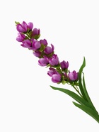 Цветы искусственные "Дремлик садовый" 3х84 см, сиреневый - фото 809225485