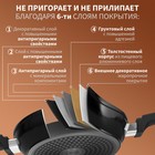 Сковорода Magistro Flame, d=24 см, h=6,3 мм, со стеклянной крышкой, ручка soft-touch, антипригарное покрытие, индукция, цвет чёрный - фото 4377221