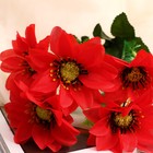 Букет "Анемоны галант" 6 цветков, d-8 см h-30 см, микс - Фото 2