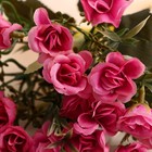 Букет "Роза Камелия" 2х26 см, микс - Фото 2
