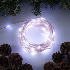 Гирлянда «Нить» 10 м роса, IP44, медная нить, 100 LED, свечение белое, мерцание, 220 В - фото 3839781