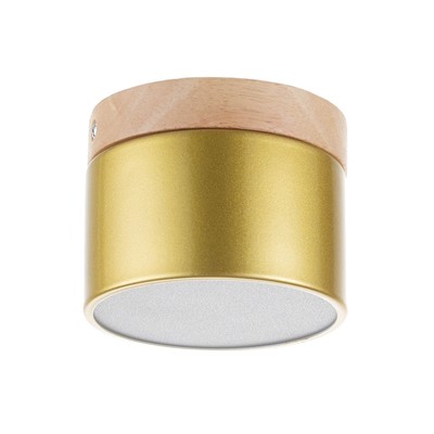 Светильник «Алтер» LED 7 Вт 4000К золото 10×10×8 см BayerLux
