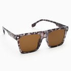 Очки солнцезащитные женские «OneSun. Wayfarer», uv 400, линза 4.3×5.2 см, коричневый - Фото 5