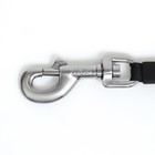 Рулетка Flexi Black Design S (до 12 кг) 5 м трос, черный/синий - Фото 2